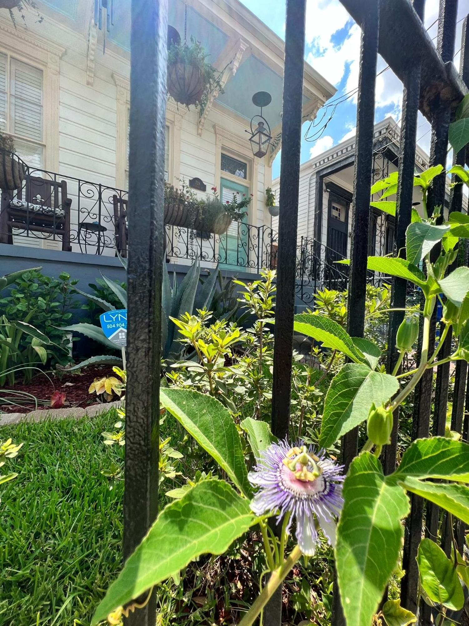 Luxury Historic Shotgun Home In Lower Garden District นิวออร์ลีนส์ ภายนอก รูปภาพ